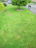 Missing Image